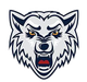 BK狼队logo