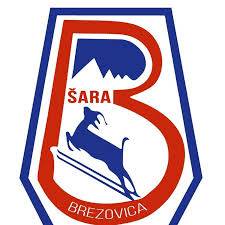 布雷佐维察logo